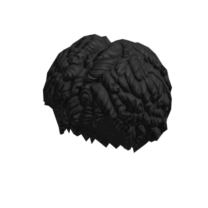 Curly Afro - Black – item grátis do Roblox