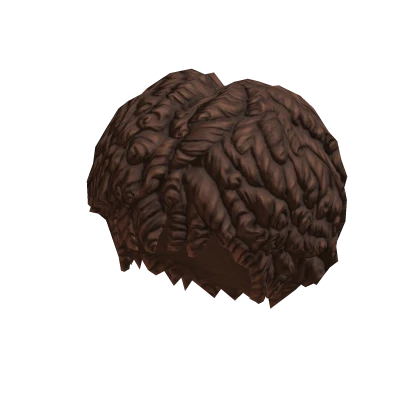 Curly Afro - Cool Brown – item grátis do Roblox
